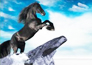 �o�S����ݔ�͙C
